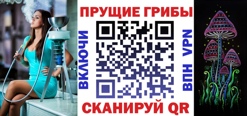 Купить  Краснослободск  Псилоцибиновые грибы Psilocybine cubensis 